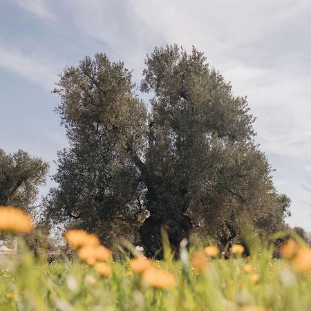 Masseria San Lorenzo Resort Fasano Dış mekan fotoğraf